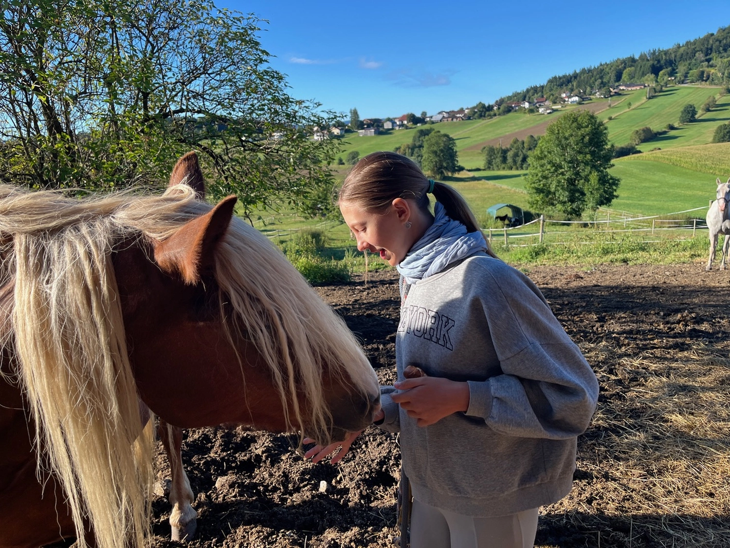 Mallorca von Thomas Hauswald Journalist